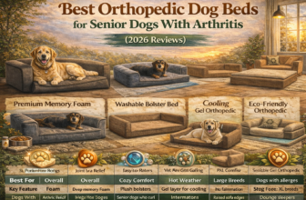 Best Orthopedic Dog Beds for Senior Dogs With Arthritis (2026 Reviews)